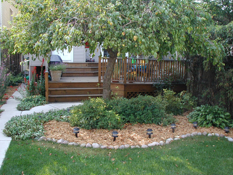 04_back_yard_01