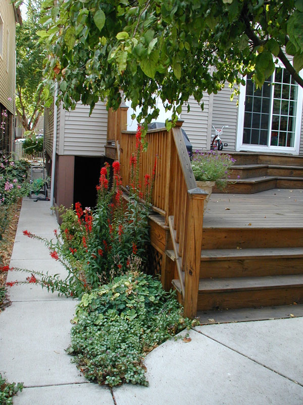 04_back_yard_02