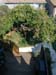 08_master_bed_balcony_01